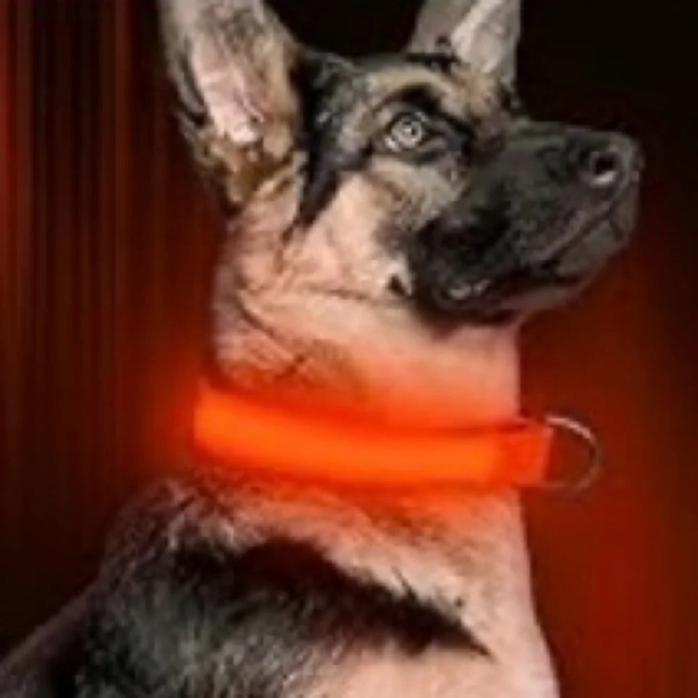 LED light up adjustable glow in the dark dog collar red size medium